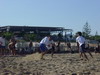 THUMB_DSC04283_p.JPG